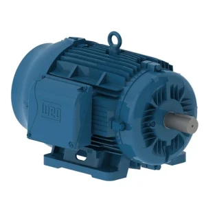 W22 Motor