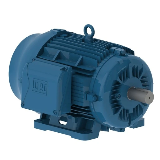 W22 Motor